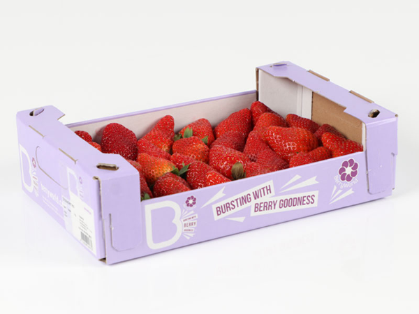 Mynd Jarðarber 1 kg - BW  