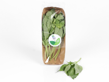Mynd Basil 50 gr.