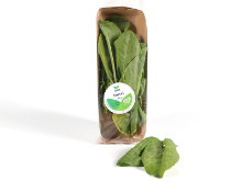 Mynd Túnsúra (sorrell súrur) 50 gr.