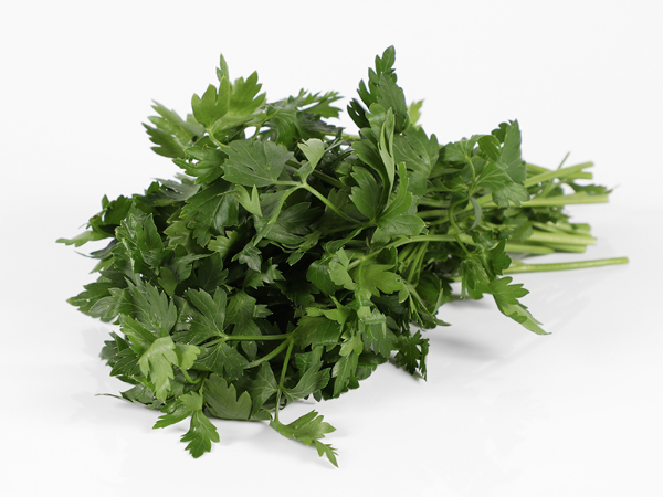 Mynd Steinselja flöt  erl. 1 KG