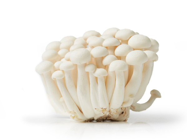 Mynd Sveppir White Beech 20x150 gr.