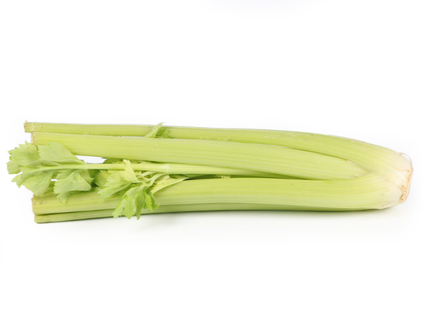 Mynd Sellerí erl 10 kg.