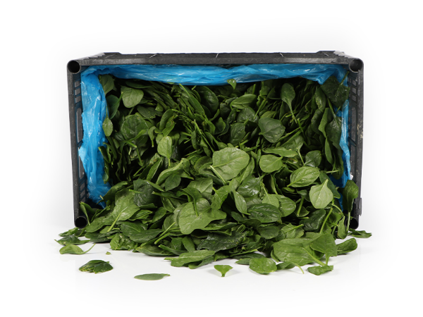 Mynd Baby spínat 3,5 kg.GRIND - Þvegið