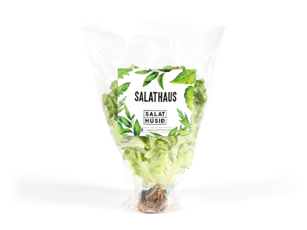 Mynd Salathúsið - Salathaus í potti 135 gr.