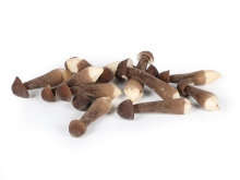 Mynd Sveppir Royal Chestnut 1kg 