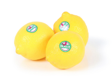 Mynd Sítrónur 15 kg - Bollo