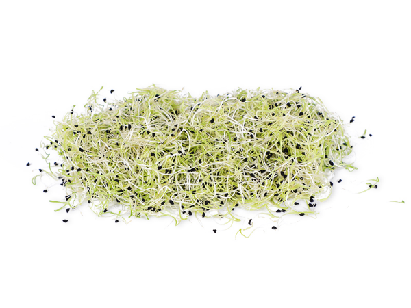 Mynd Blaðlauksspírur 50gr 