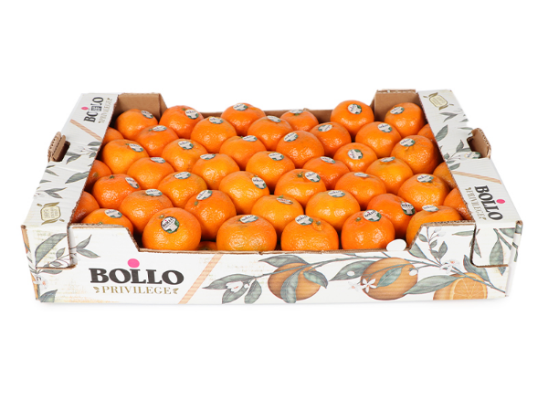 Mynd Klementínur 12 kg - BOLLO Privilege