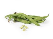 Mynd Broad beans (Bóndabaunir) 8 kg.              
