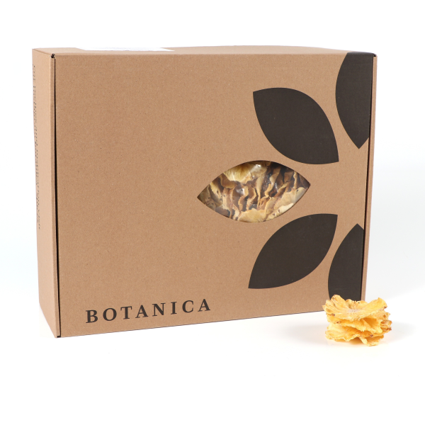 Mynd BOTANICA Þurrkaður Ananas 1000gr