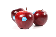 Mynd Epli Red del. 64 - Blue Whale