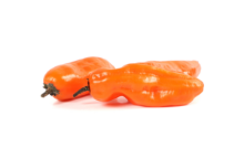 Mynd Aja Amarillo 1 kg