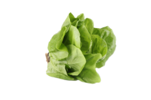 Mynd Blaðsalat ísl. (Spretta) 200 gr