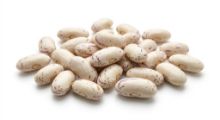 Mynd Bean Coco Paimpol AOP 8kg