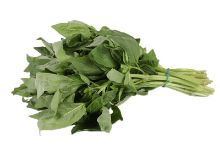 Mynd Basil kg.